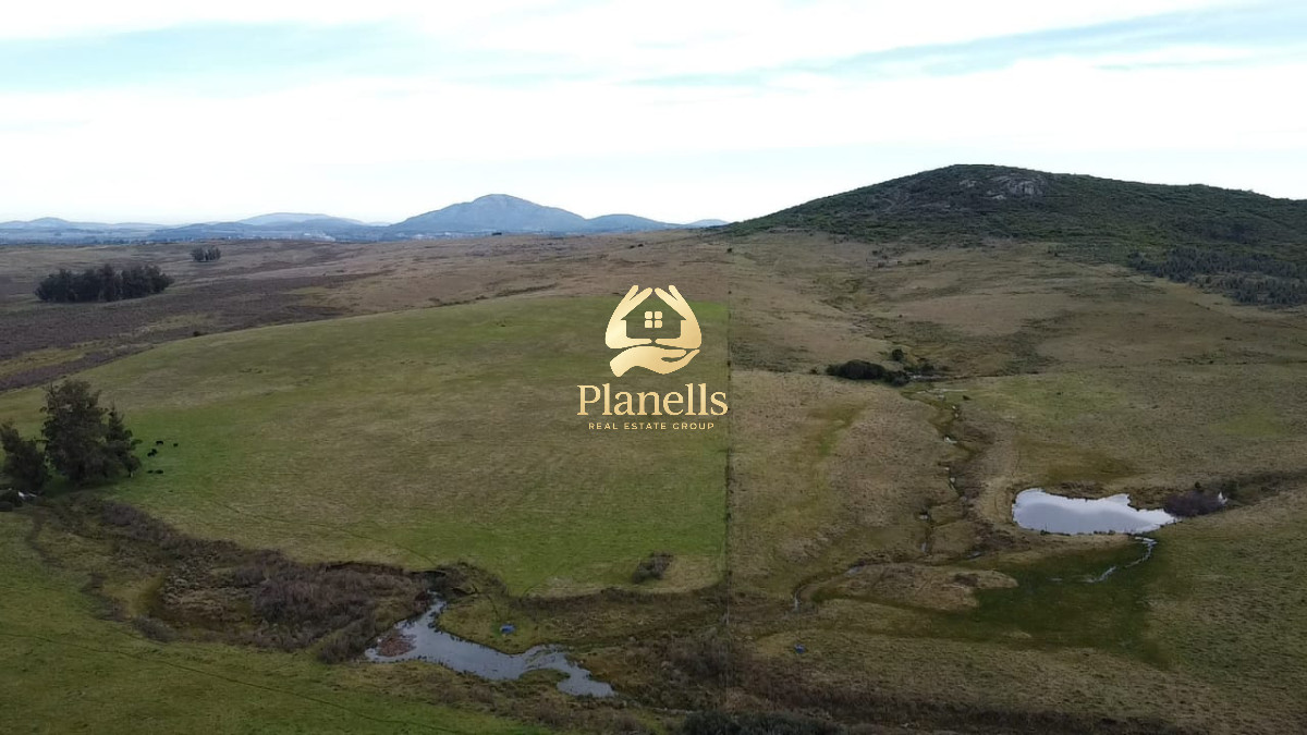 Campo Ref.2890 - Venta de campo de 34 Has en Pan de Azucar