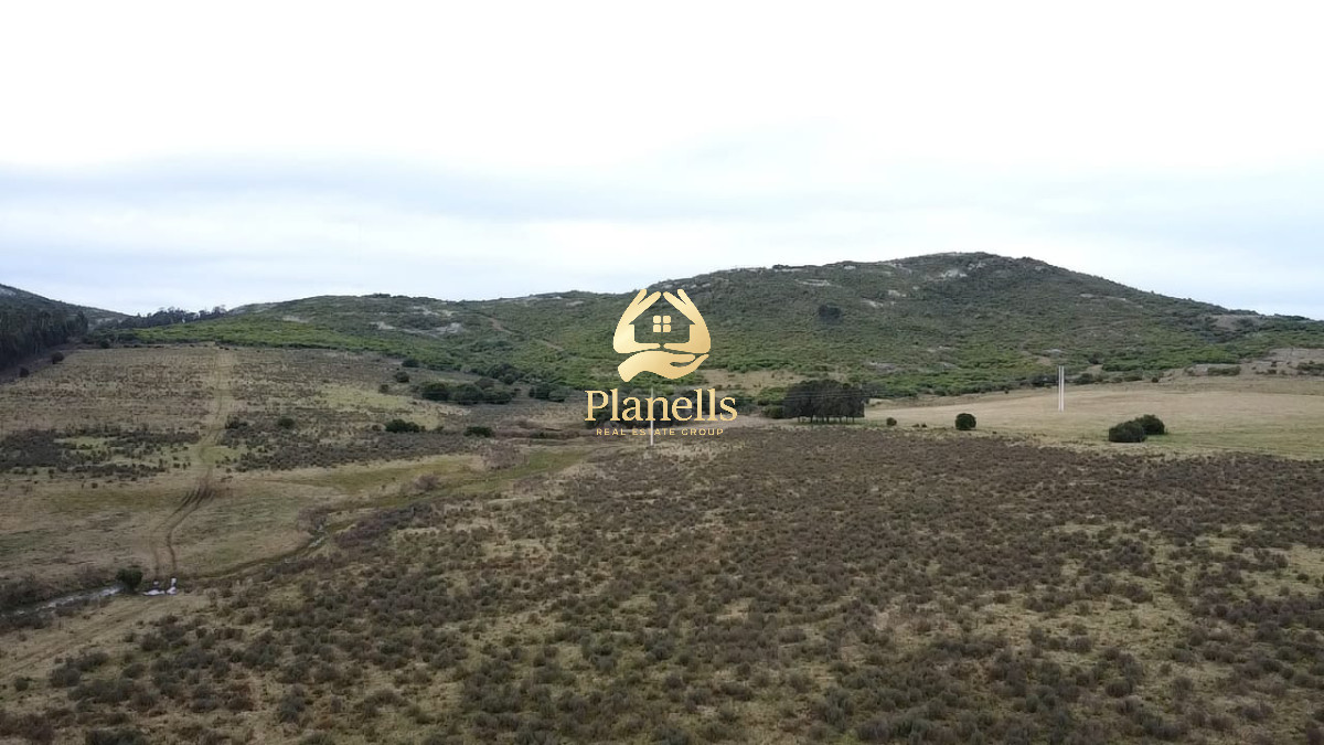 Campo Ref.2894 - Venta de Campo de 25 Ha en 