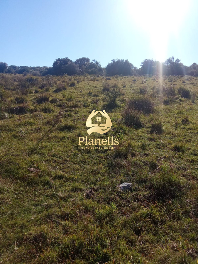 Campo Ref.2734 - Venta de campo de 22 Ha en Zanja de Chavez