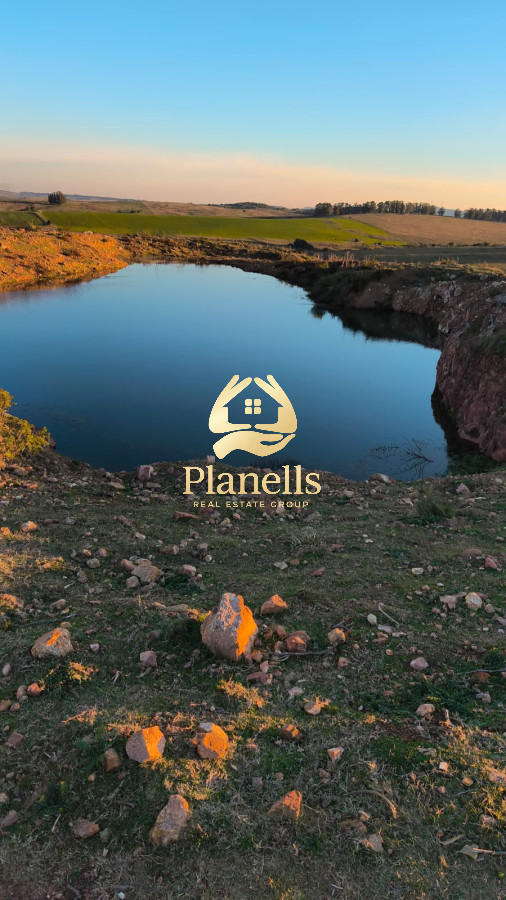 Campo Ref.2902 - Venta de campo de 103 Has en Las Cañas