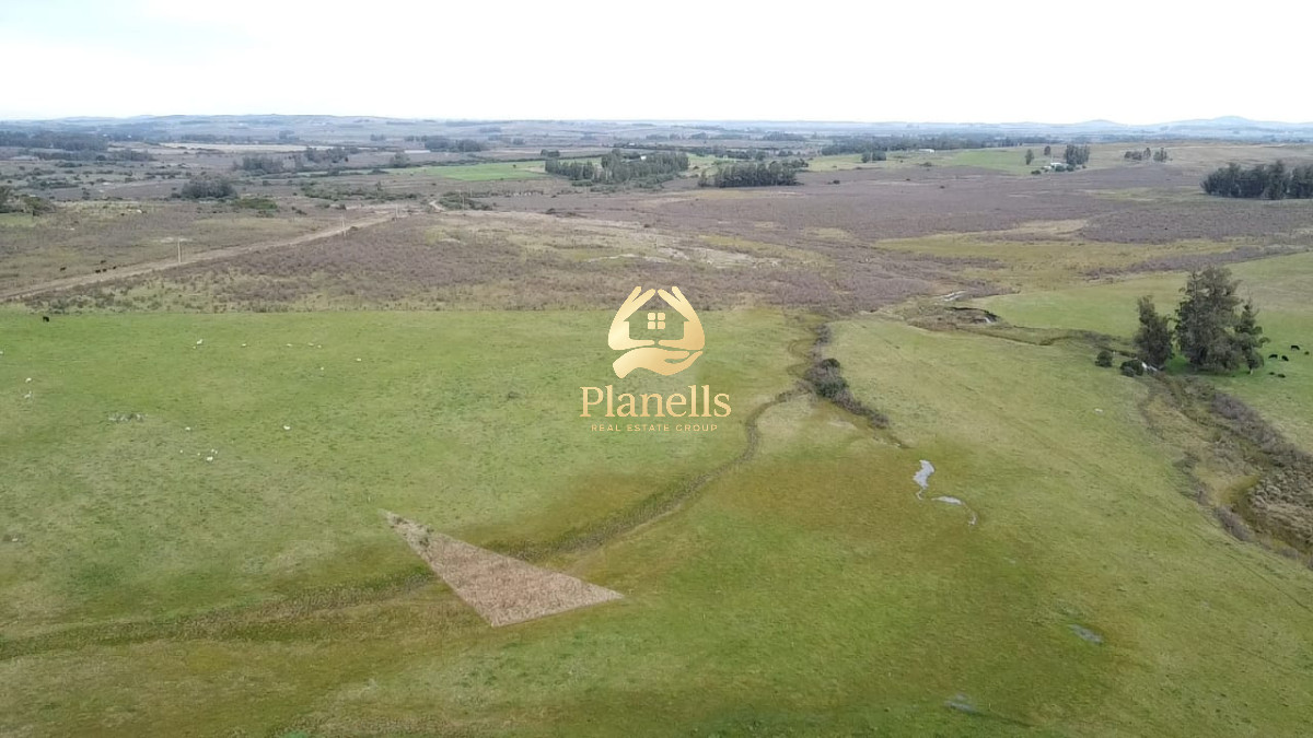 Campo Ref.2890 - Venta de campo de 34 Has en Pan de Azucar