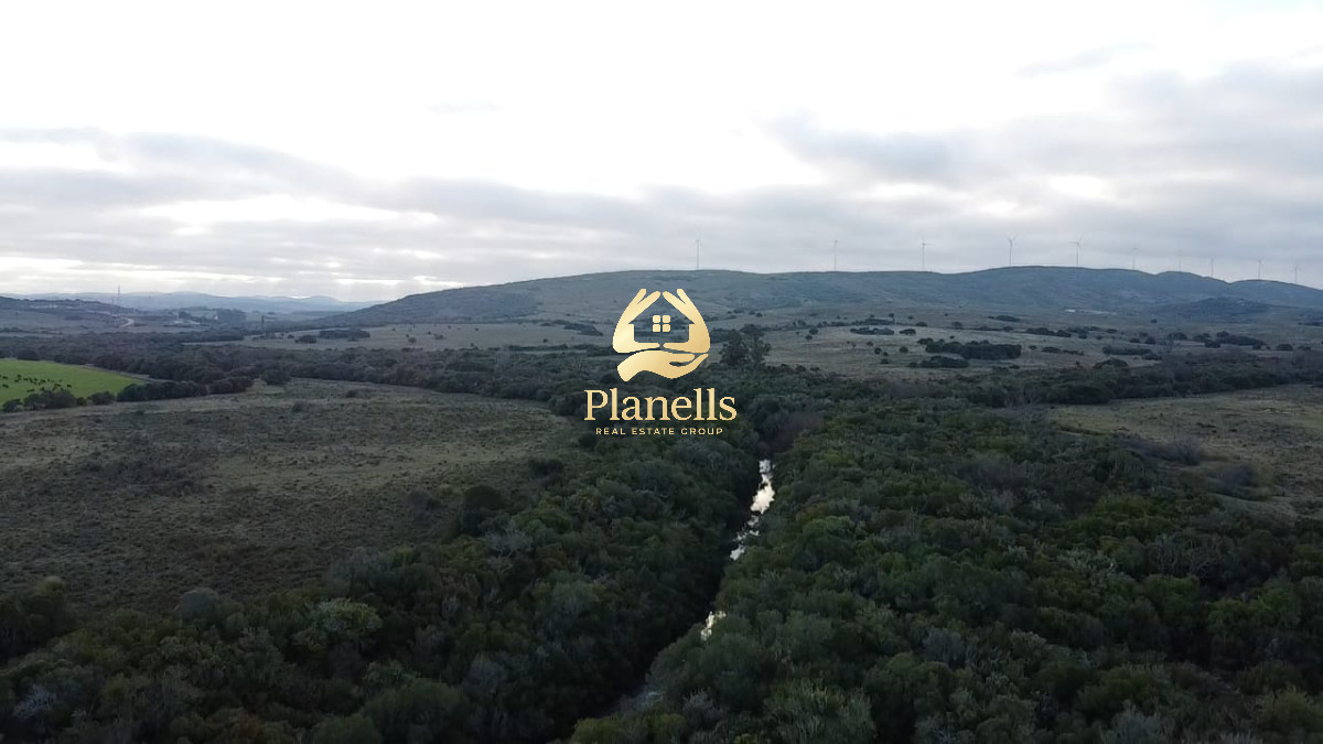 Campo Ref.3028 - Venta de campo de 240 Has Zona Las Cañas