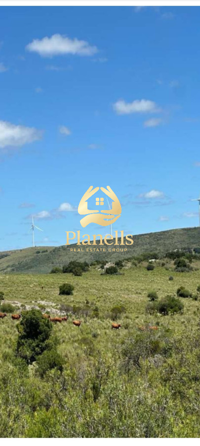 Campo Ref.2247 - Venta De Chacras Valle San Nicolas