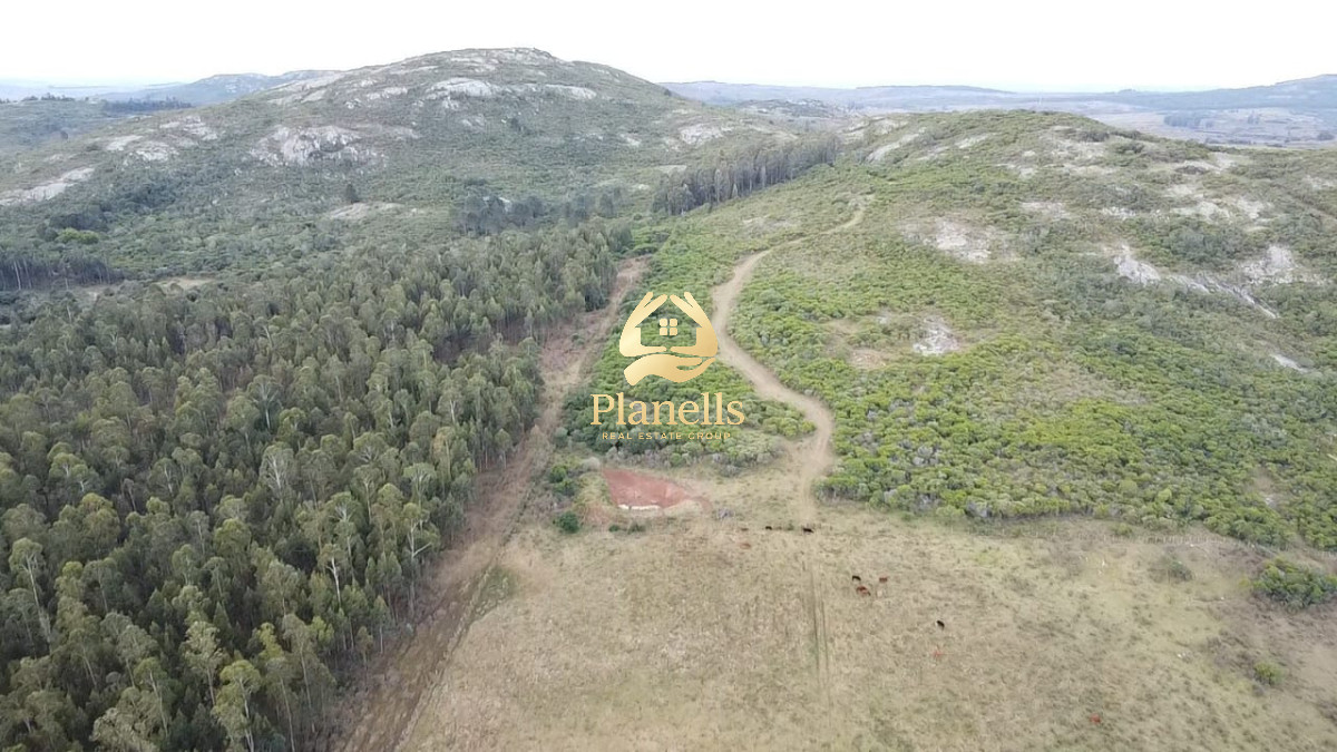 Campo Ref.2894 - Venta de Campo de 25 Ha en 
