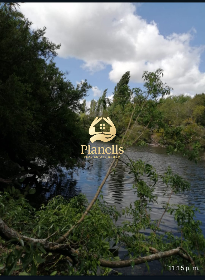Campo Ref.2734 - Venta de campo de 22 Ha en Zanja de Chavez