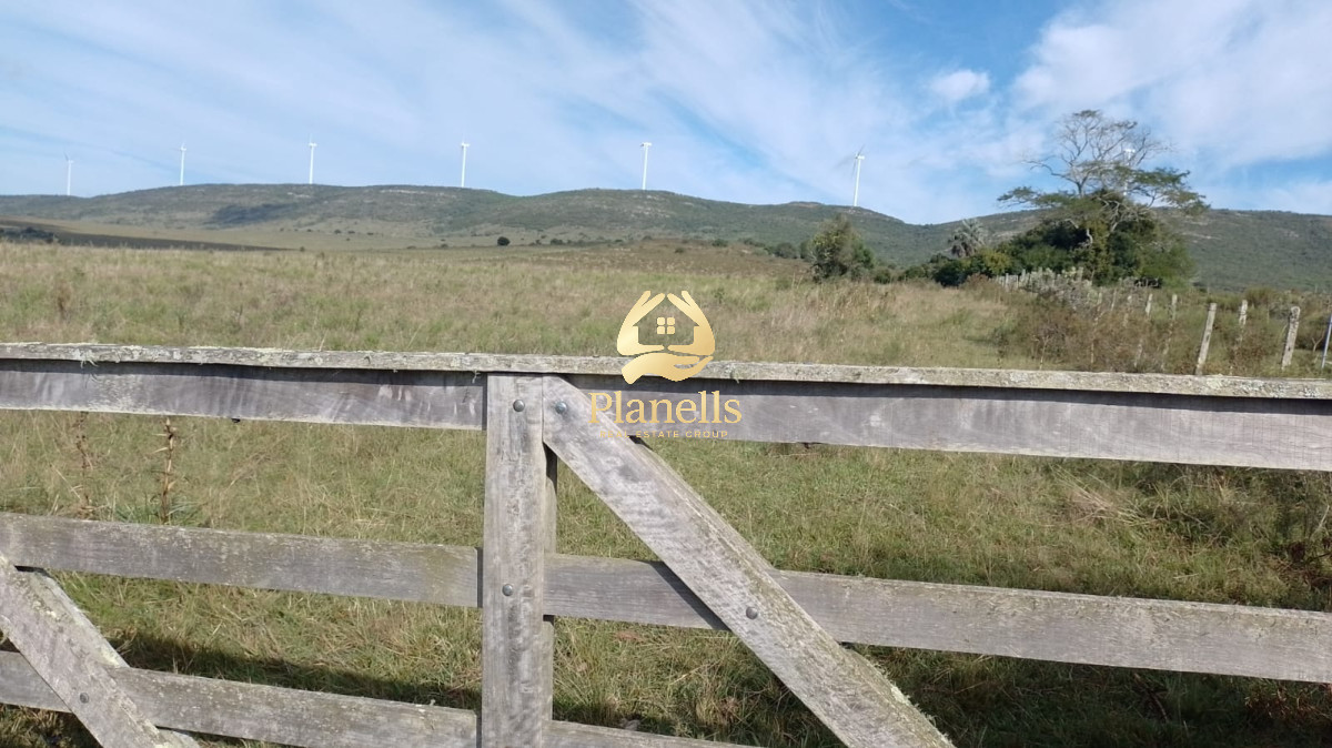 Campo Ref.2377 - Venta de Chacras de 5 y 6 Ha en Caracoles