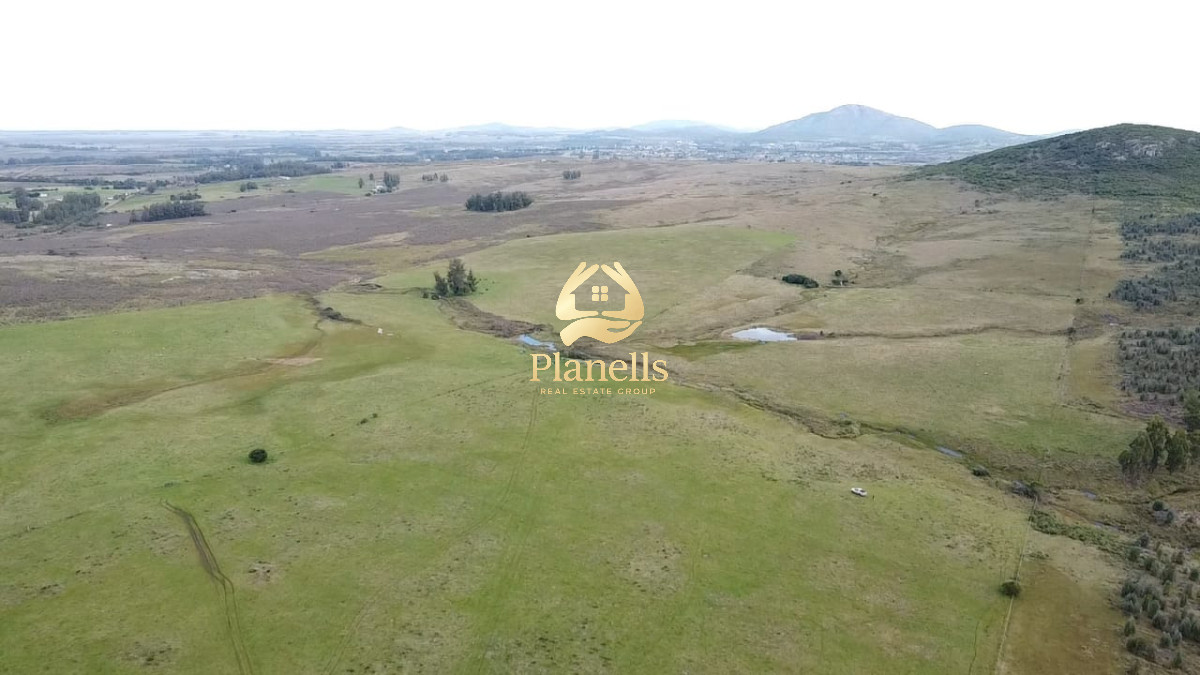 Campo Ref.2892 - Venta de Campo de 20 Has en Pan de Azucar 