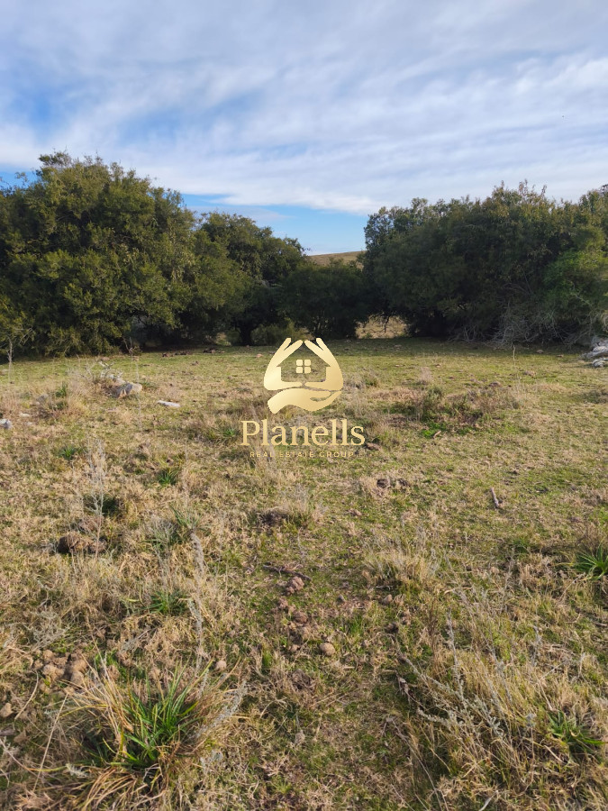 Campo Ref.3028 - Venta de campo de 240 Has Zona Las Cañas