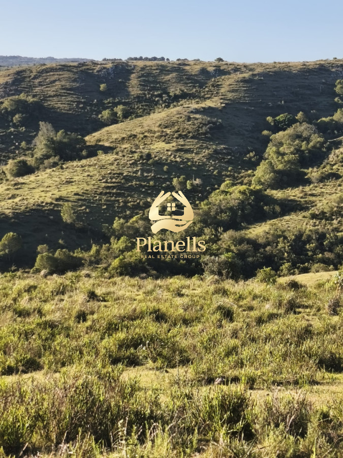 Campo Ref.2682 - Venta de Campo Rocha 130 Ha