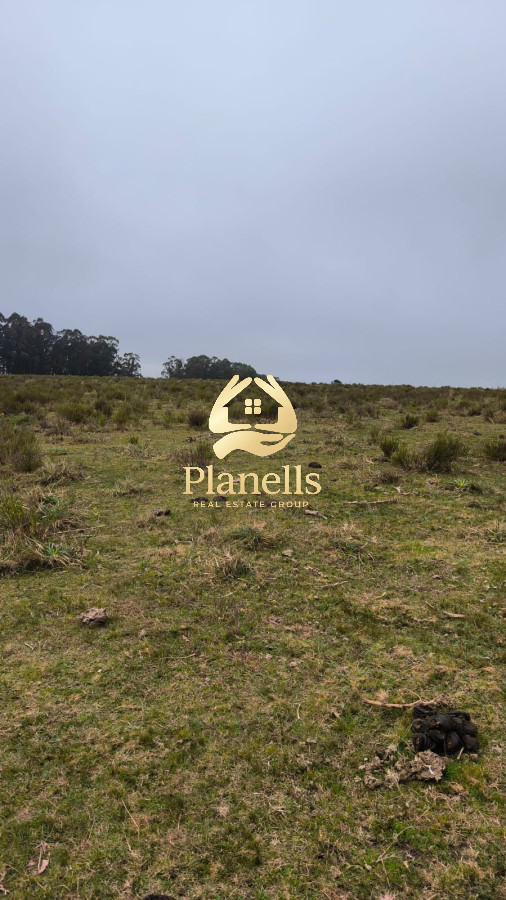 Campo Ref.2734 - Venta de campo de 22 Ha en Zanja de Chavez