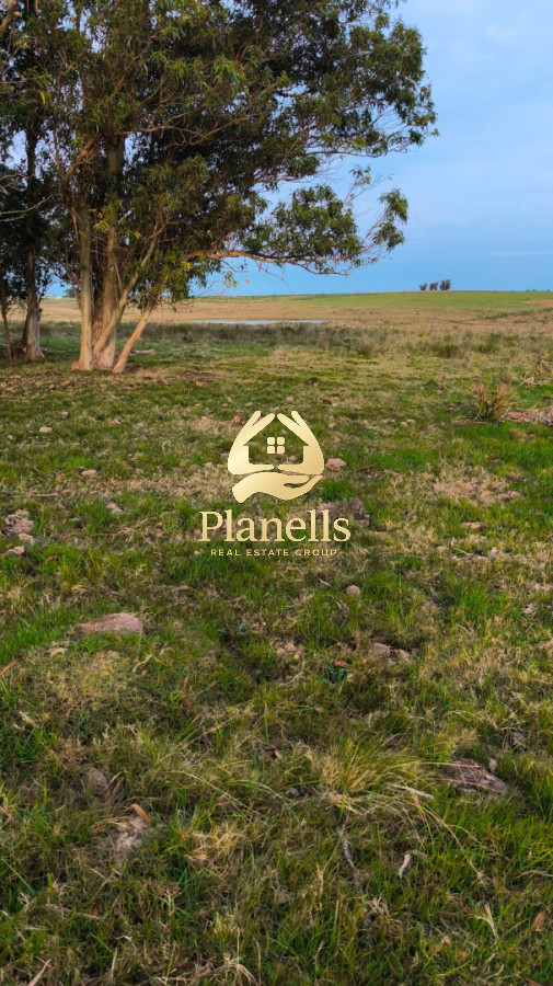Campo Ref.3822 - Venta Campo 13 Ha en CaÃ±ada Bellaca