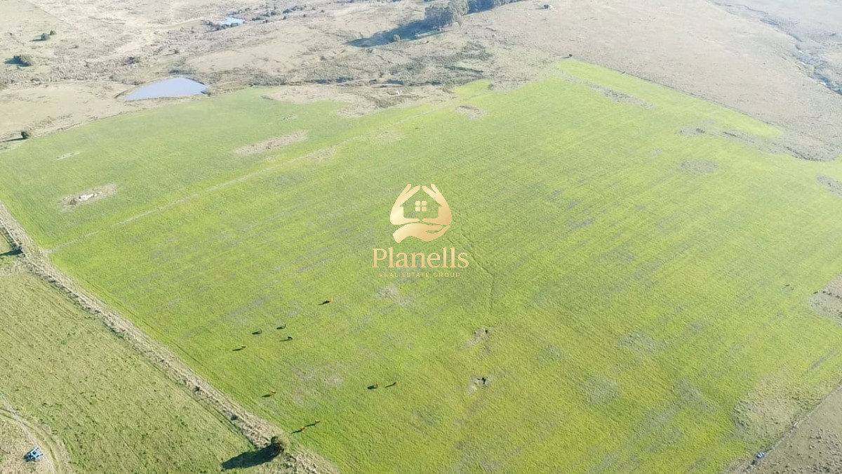 Campo Ref.2902 - Venta de campo de 103 Has en Las Cañas