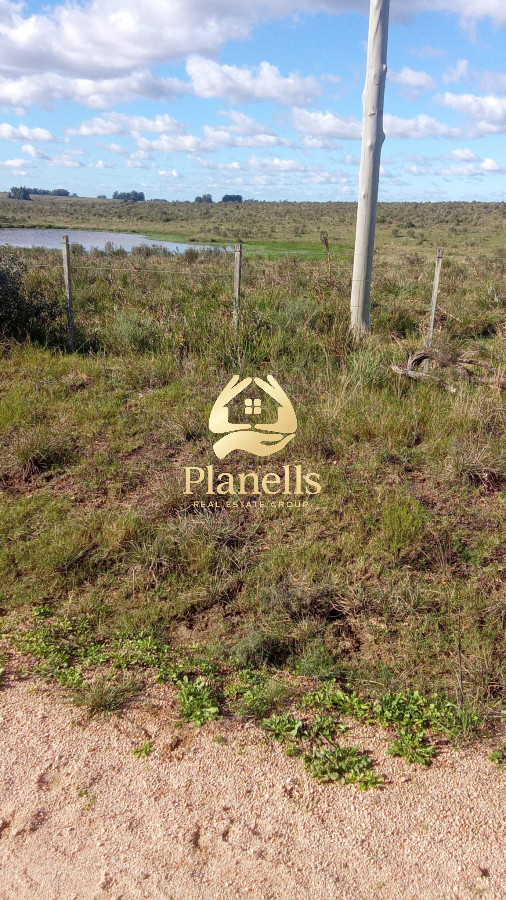 Campo Ref.2341 - Venta campo 29 hectareas a 4 km de San Carlos