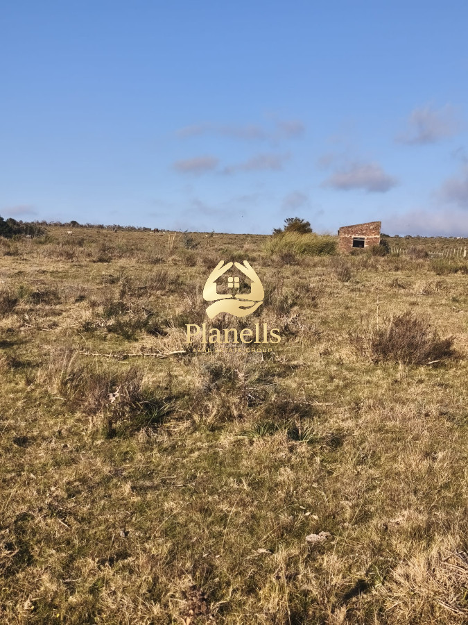 Campo Ref.3003 - Venta de Campo de 22 Has en Zona de las Cañas