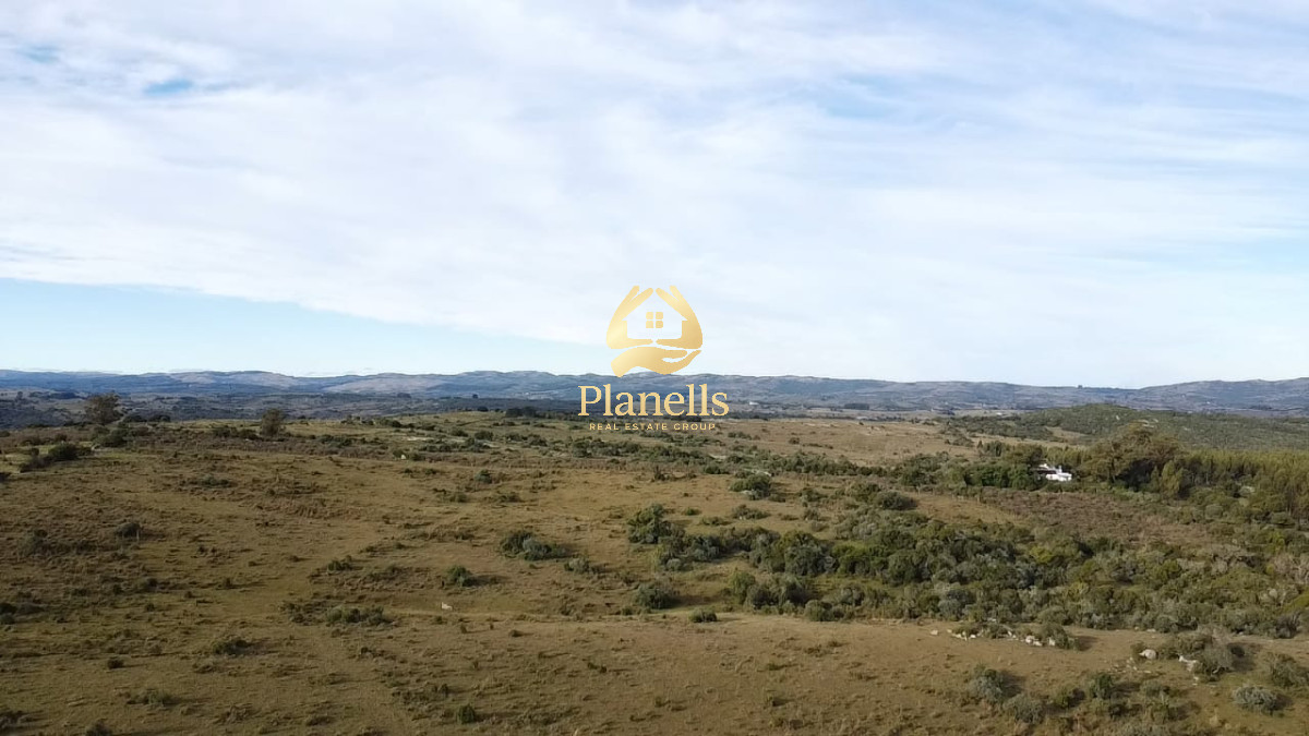 Campo Ref.2602 - Venta de Campo de 77 Ha en Las CaÃ±as