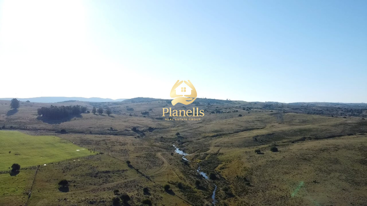 Campo Ref.2902 - Venta de campo de 103 Has en Las Cañas