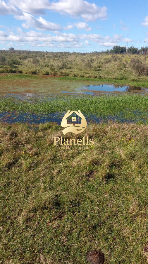 Venta campo 29 hectareas a 4 km de San Carlos 2