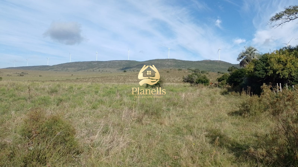 Venta de Chacras de 5 y 6 Ha en Caracoles 3