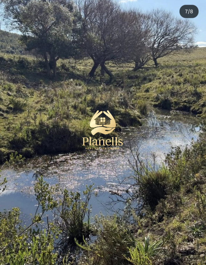 Venta Campo de 26Ha con casa en Minas 1