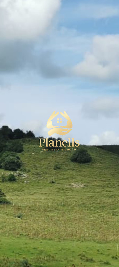 Venta de campo de 26 Has en la Coronilla 2