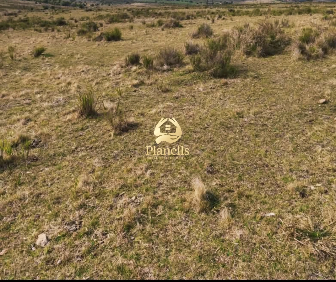 Campo Ref.3106 - Venta de Campo 600Ha en Carape con casas
