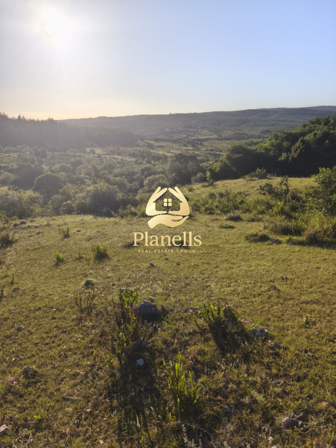 Venta de Campo Rocha 130 Ha 4