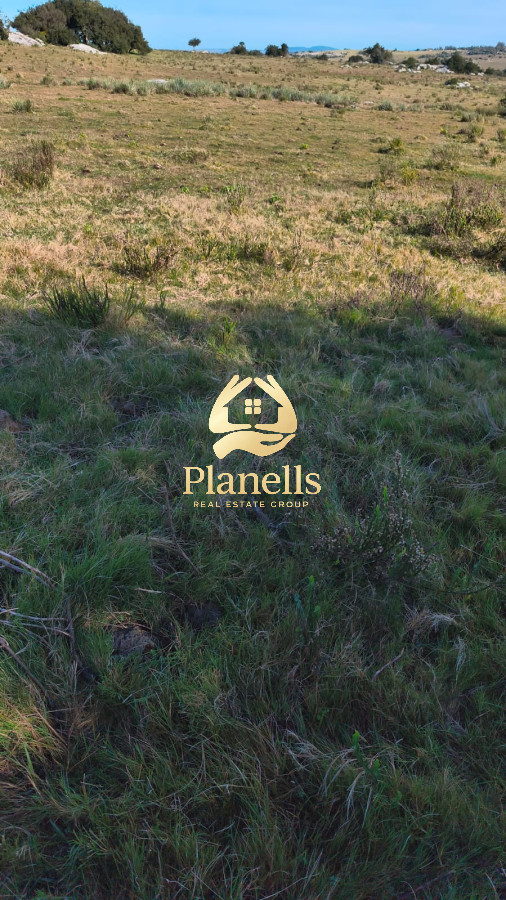 Venta de campo 137 Ha Maldonado 6