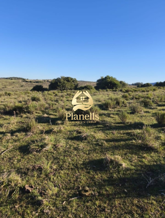 Venta de Campo 55Ha en Las Cañas 2