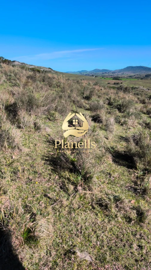 Campo Ref.2247 - venta  Chacras 3Has  Caracoles