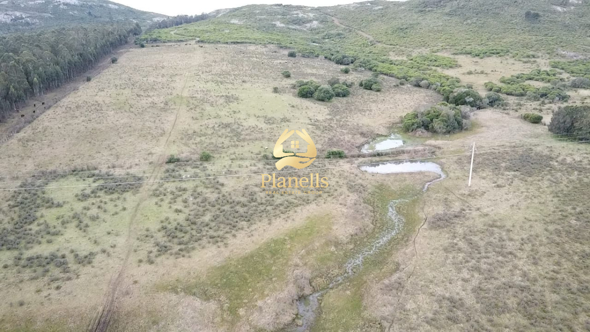 Venta de Campo de 25 Ha en 4