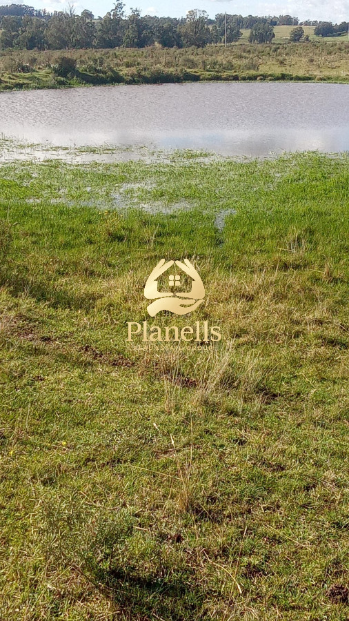 Venta campo 29 hectareas a 4 km de San Carlos 5