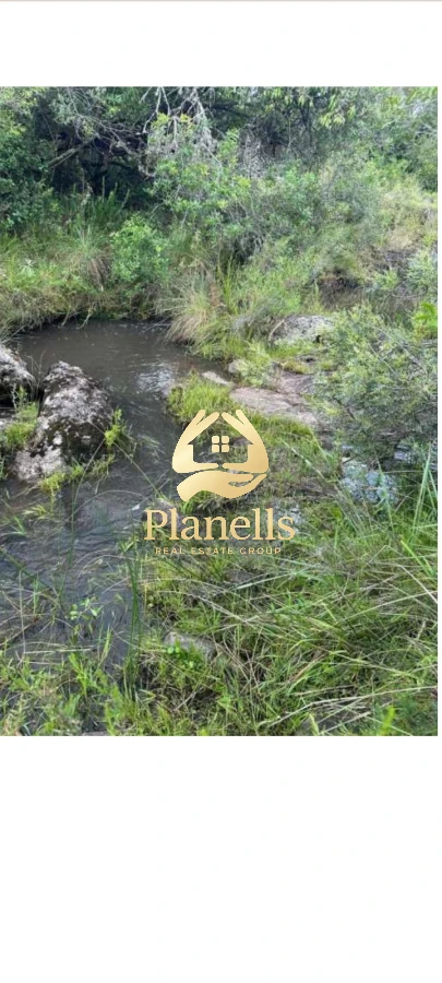 Campo Ref.2247 - venta  Chacras 3Has  Caracoles