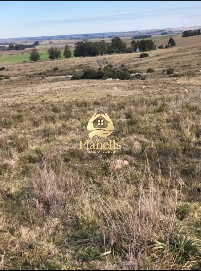 Campo Ref.3028 - Venta de campo de 240 Has Zona Las Cañas