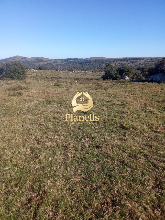 Venta de campo 137 Ha Maldonado 3