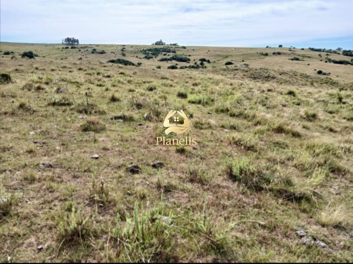 Venta de Campo 55Ha en Las Cañas 4