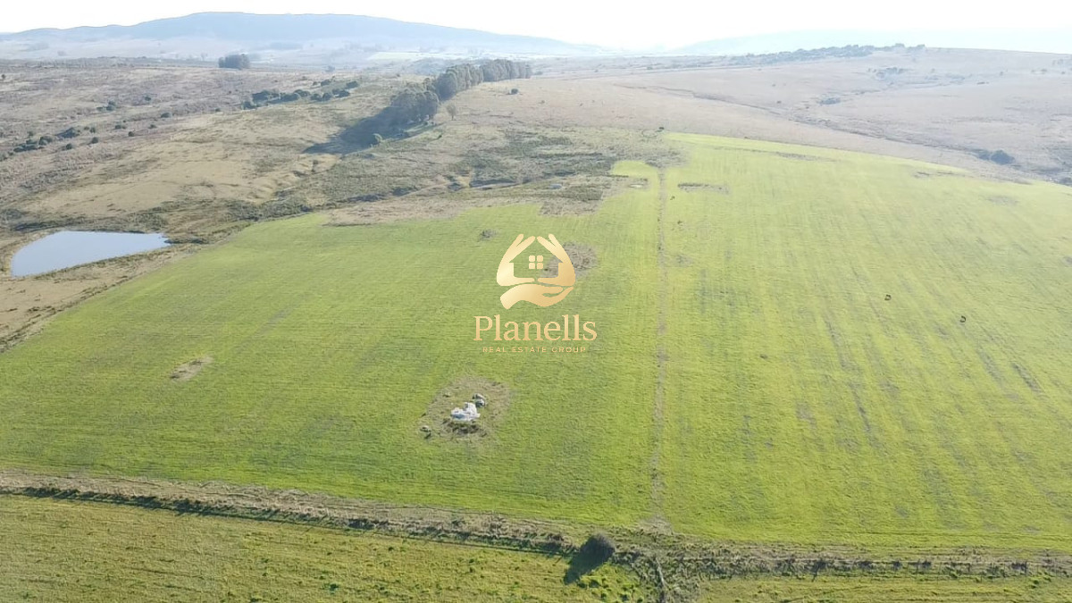 Venta de campo de 103 Has en Las Cañas 6