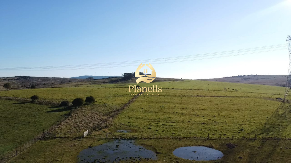Venta de campo de 103 Has en Las Cañas 4
