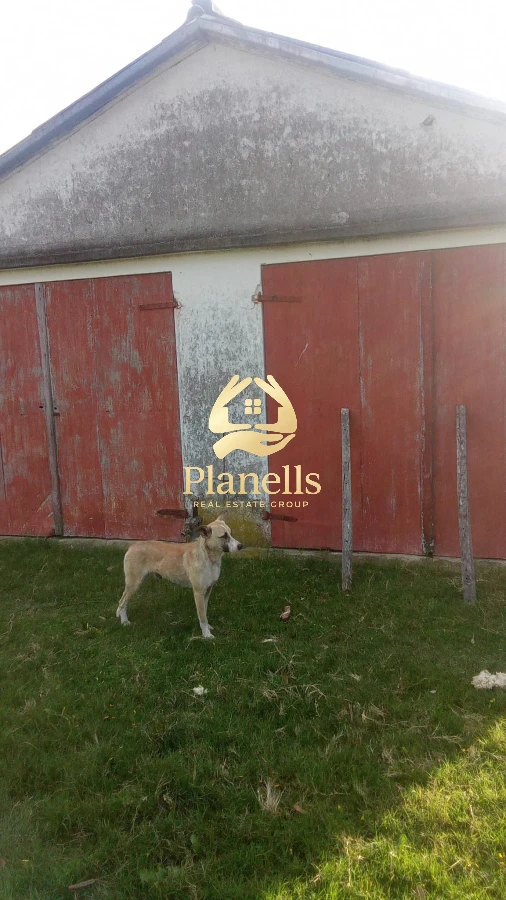Campo Ref.3106 - Venta de Campo 600Ha en Carape con casas