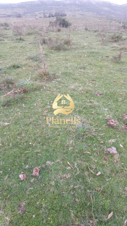 Campo Ref.3106 - Venta de Campo 600Ha en Carape con casas
