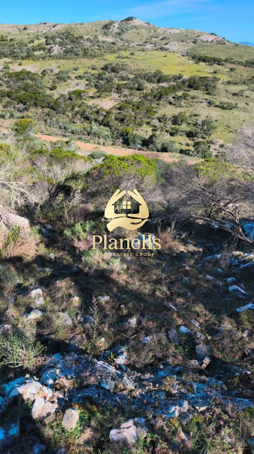 Campo Ref.2247 - venta  Chacras 3Has  Caracoles