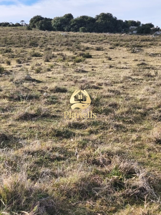Venta de campo de 240 Has Zona Las Cañas 7