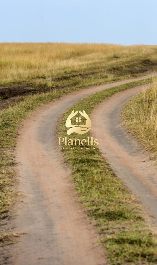 Venta de Campo 55Ha en Las Cañas 1
