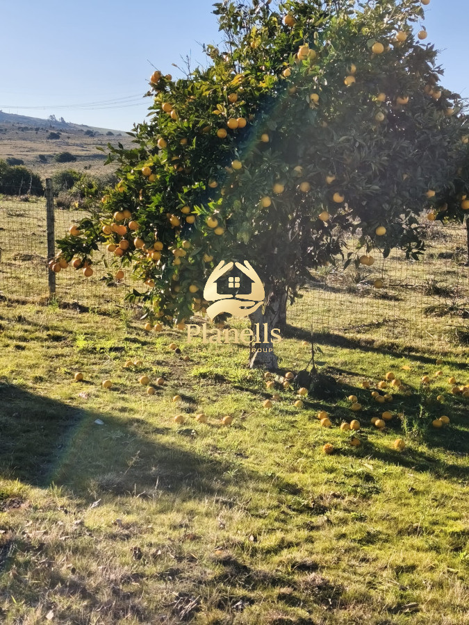 Venta de campo de 103 Has en Las Cañas 3