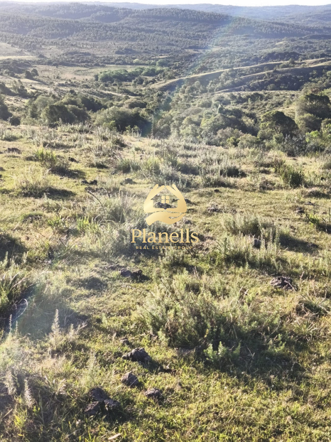 Venta de Campo Rocha 130 Ha 5