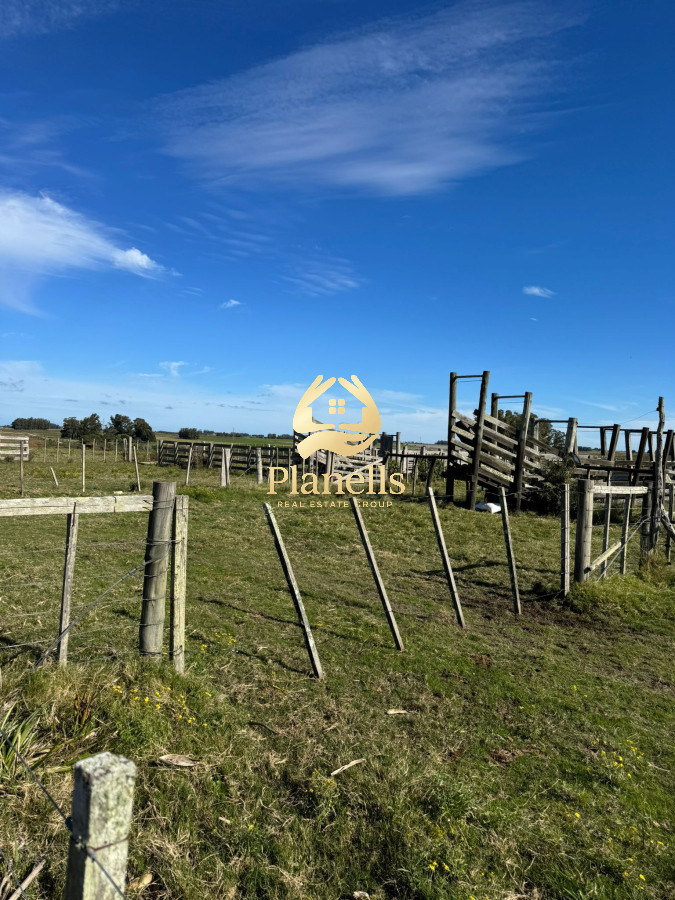 Venta de Campo de 21 Ha en Jose Ignacio 4