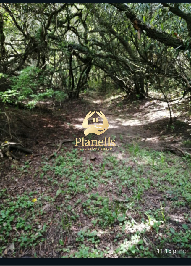 Venta de campo de 22 Ha en Zanja de Chavez 2