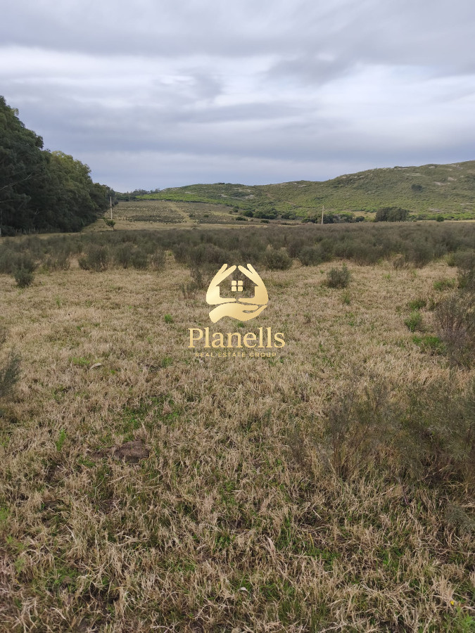 Venta de Campo de 25 Ha en 2