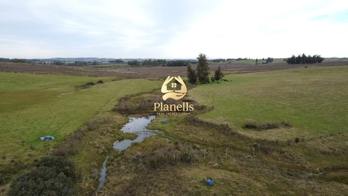 Venta de Campo de 20 Has en Pan de Azucar 4