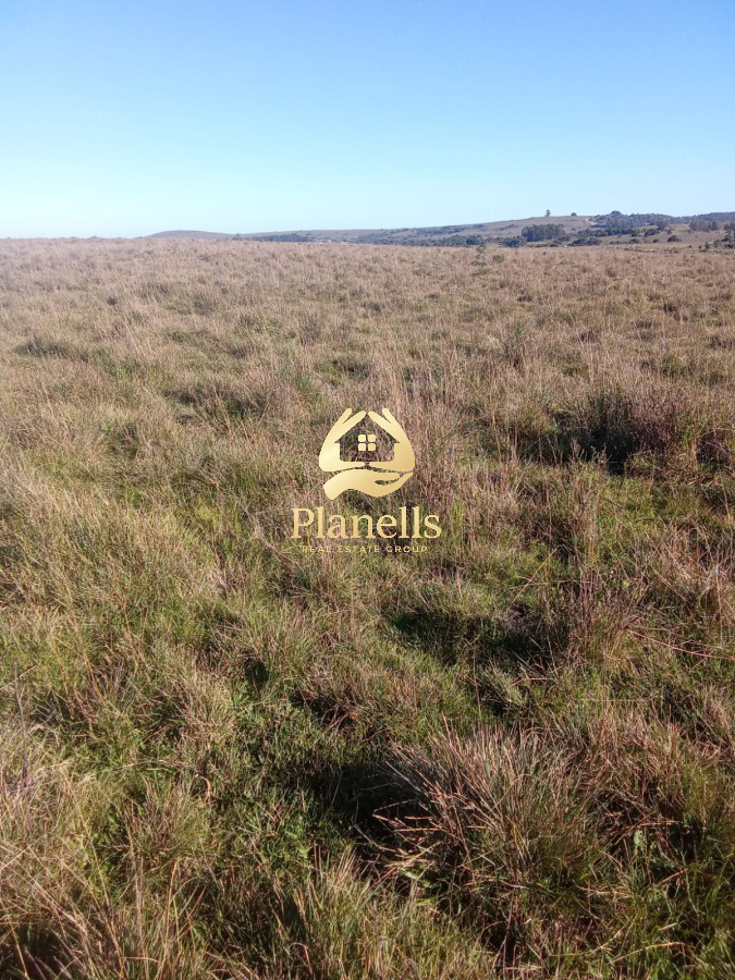 Venta de campo 137 Ha Maldonado 8