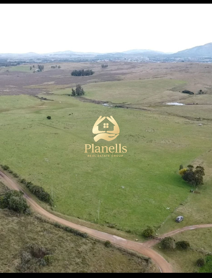 Venta de Campo de 20 Has en Pan de Azucar 2